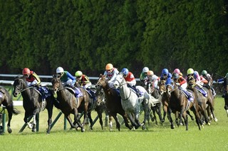 2013.4.28 天皇賞春4コーナー.jpg